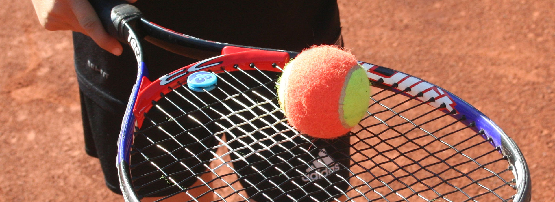 Tennis-Club-Blau-Weiss-Bornheim-Training